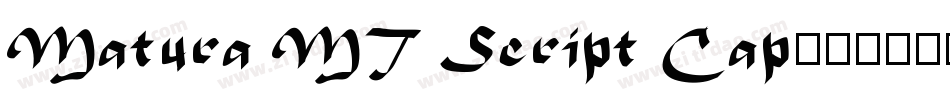 Matura MT Script Cap字体转换